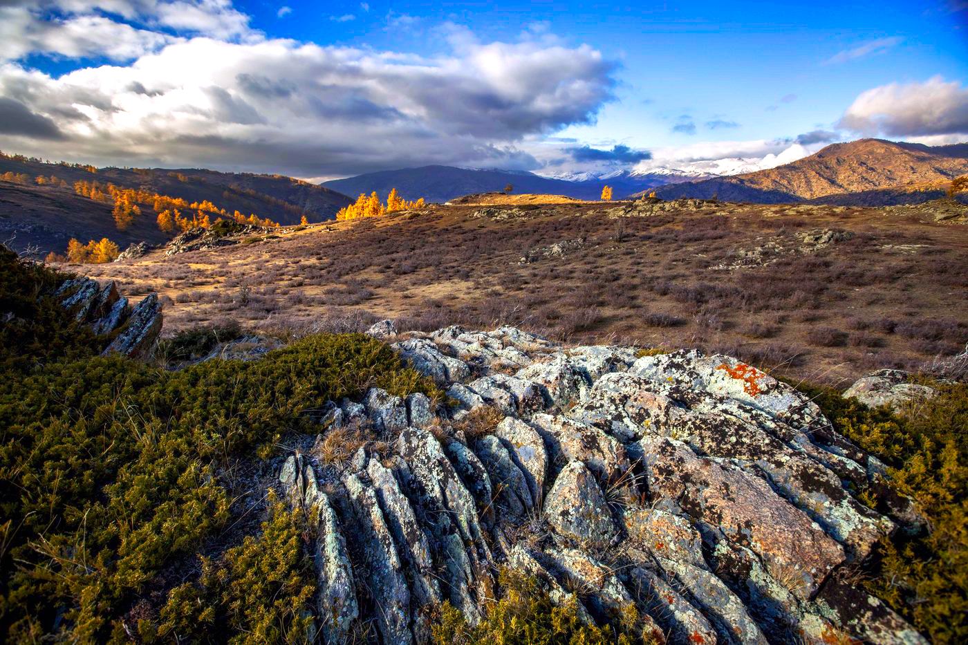 Altay · autumn river valley 阿勒泰金秋河谷